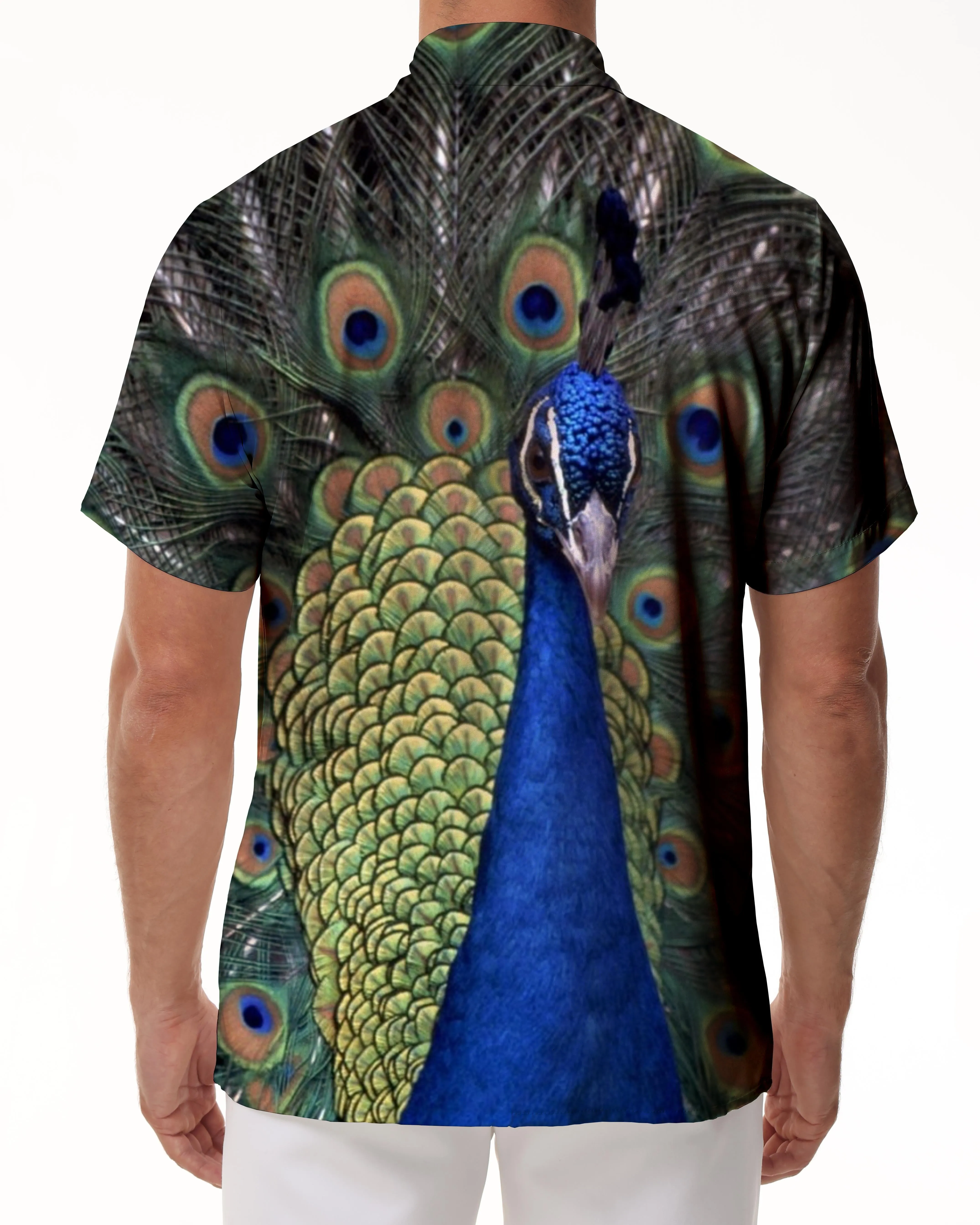 Noble Peacock Animal 3D Printed Short Sleeve Shirt Hawaiian Tropical Four Seasons Men's Button Casual Loose Short Sleeve Shirt